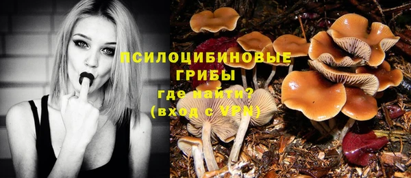 дурь Баксан